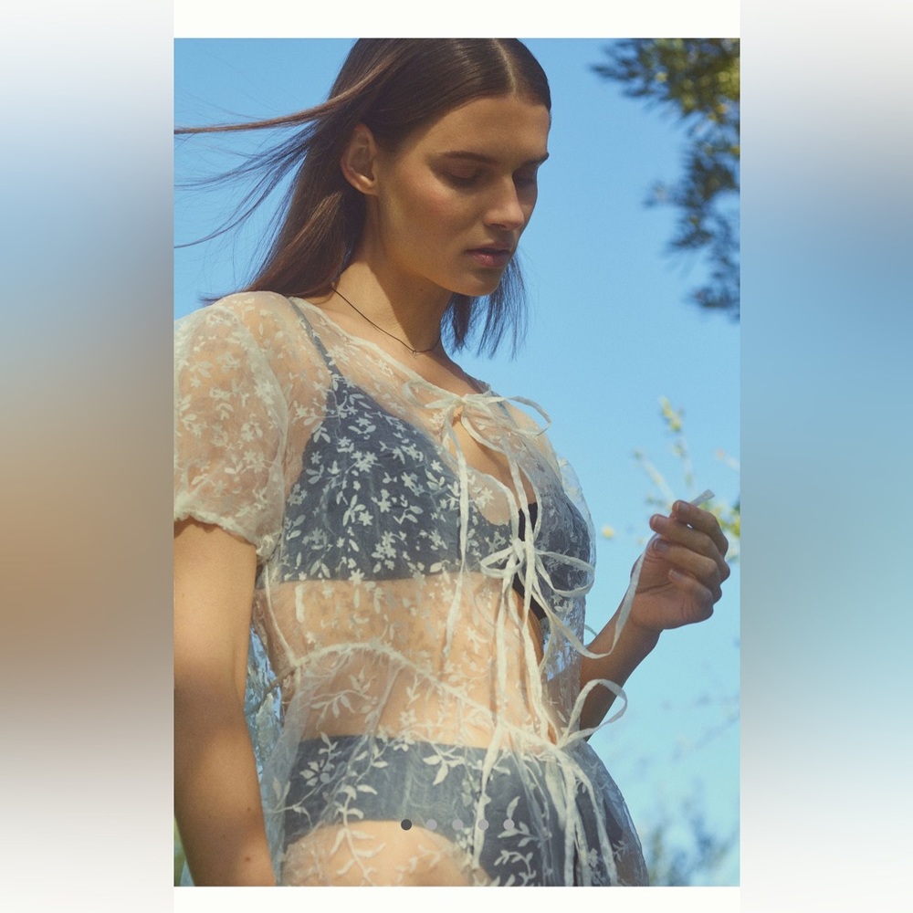 NWT Anthropologie Sheer Organza Maxi Dress